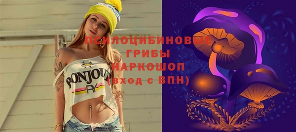 MESCALINE Аркадак