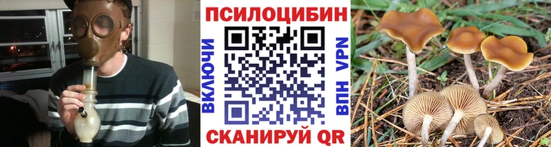 Галлюциногенные грибы Magic Shrooms  Нолинск 