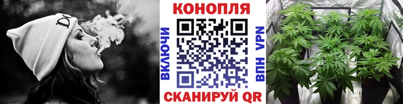 Шишки марихуана гибрид  Нолинск 